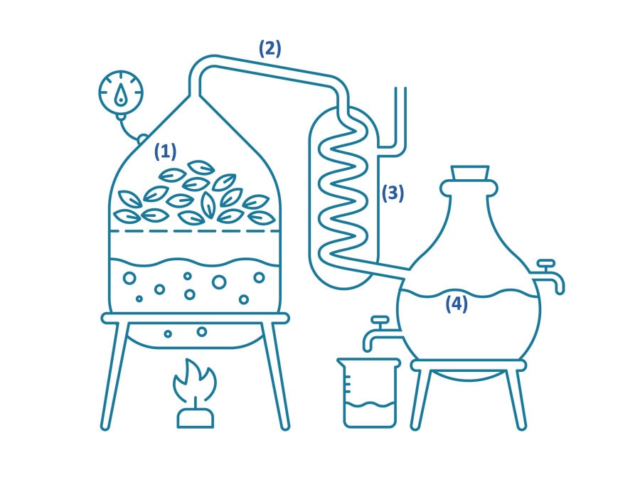 Schéma du processus de distillation pour les huiles essentielles